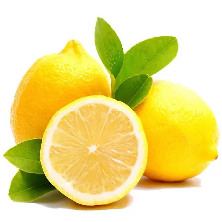 Studio Lemon Budva
